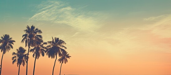 Wall Mural - Sunset beach scene with coconut palm tree silhouettes in vintage style providing a tranquil backdrop for your copy space image