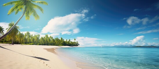 Wall Mural - Tropical beach with sandy shore clear ocean palm trees and a sunny sky ideal for a vacation. Copy space image. Place for adding text and design