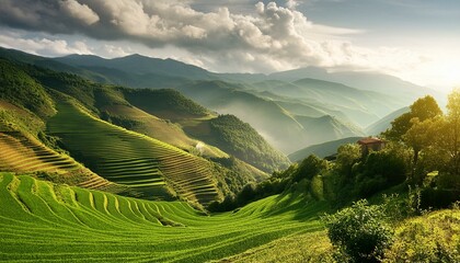 Wall Mural - glass of water with green leaves, terraced terraces wallpaper landscape of the mountains, rice terraces in island, In the scenic landscapes, terrace farming adorns hillsides, blending nature and agric