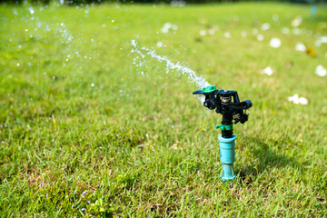 Wall Mural - Sprinkler for automatic lawn watering. Lawn cultivation and care, garden irrigation devices. Rainbow over the garden on a sunny day.