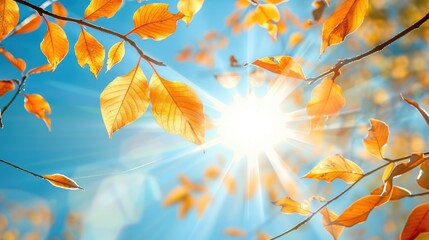 Poster - Autumn leaves adorning a tree branch under the bright sun