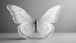 © Jane - Pretty transparent glass butterfly ornament on a plain backdrop banner poster header design