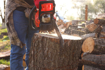 Wall Mural - Man sawing wooden log on sunny day, closeup