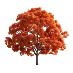 Wall Mural - Autumn Tree