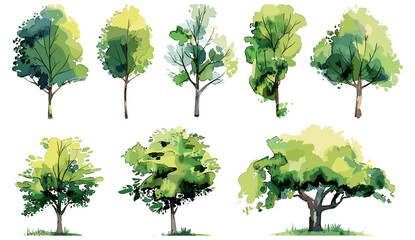 Watercolor trees collection isolated on white background for landscape and architecture drawing, botanical elements for environment and garden section in spring, set of watercolor green tree.