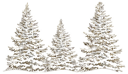 Under snow contours Christmas trees, winter landscape, snowy scenery