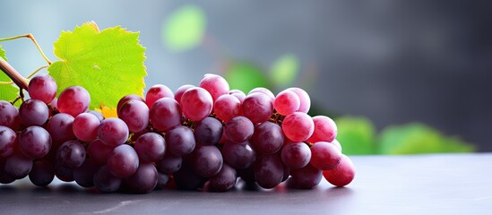 Canvas Print - Juicy korean grapes. Creative banner. Copyspace image