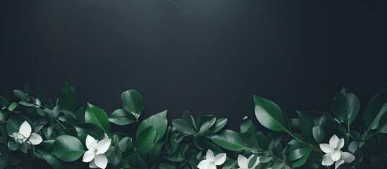 Poster - Background made of fresh white and green leaves Creative and moody color of the picture. Creative banner. Copyspace image