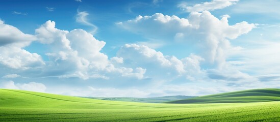 Wall Mural - long shot for green landscape with sky. creative banner. copyspace image