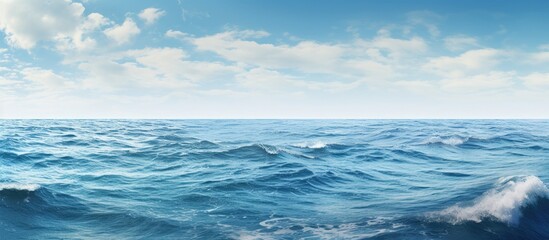 Poster - sweeping view of the sea. Creative banner. Copyspace image