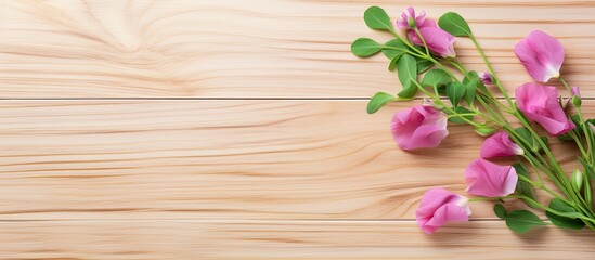 Aufkleber - Sweet pea is a one year old grass on a light wooden background Used in cooking Top view. Creative banner. Copyspace image