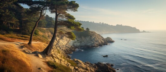Poster - Dawn over the sea bay trees on a cliff in the distance. Creative banner. Copyspace image