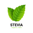 © kolonko - Stevia rebaudiana logo icon. Stevia leaf vector logo badge label plant natural extract. Herbal organic icon.