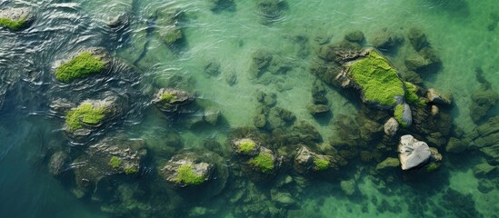 Poster - Transparent clear sea with seaweed near the shore The Black Sea coast Rest on the shore View from above. Creative banner. Copyspace image