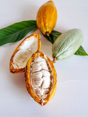 Wall Mural - Top view of half sliced ripe yellow cacao pod with white cocoa seed ,Cut in half fresh ripe cacao and green raw cacao fruit on white wooden background