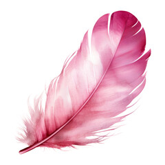 Wall Mural - pink feather watercolor isolated on transparent background cutout