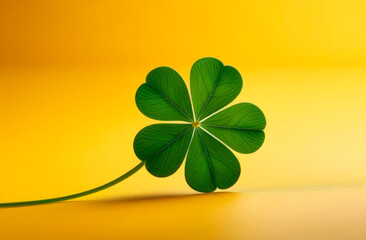 green five-leaf clover on a yellow background. A banner with space for text. A symbol of good luck