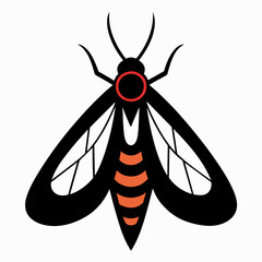 Wall Mural - Solid black outline Codling Moth animal vector