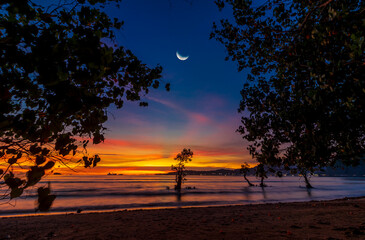 Wall Mural - Serene evening at beach with silhouette of trees and crescent moon