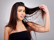 © peopleimages.com - Hair care, confused and woman in studio with portrait for frizz problem, hairstyle or split ends with gray background. Damaged, beauty and hand of model for hairloss, salon stress or tangle strand