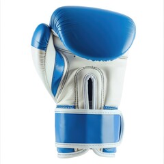 Wall Mural - detailed white blue boxing gloves on white background