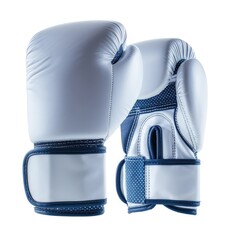 Wall Mural - detailed white blue boxing gloves on white background