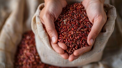 Sticker - A Pair of Hands Holding Red Rice