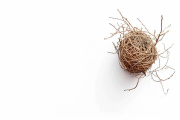 Bird's nest with twigs and branches on a white background with copy space for nature and wildlife themes