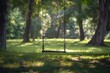 © Asaad - a lone swing swaying gently in the wind, evoking memories of childhood joy and carefree days