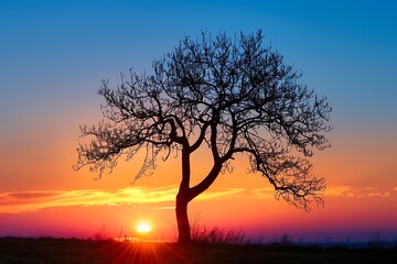 Wall Mural - a lone tree silhouetted against a breathtaking sunset, its branches reaching towards the sky in quiet reverence