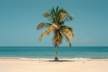 Aufkleber - Simple background showcasing a minimalist beach scene with a single palm tree,