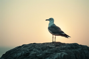 Aufkleber - Minimalist aesthetic background with a silhouette of a seagull against a bright sky,