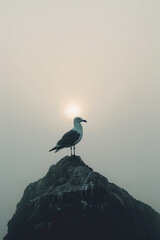 Aufkleber - Minimalist aesthetic background with a silhouette of a seagull against a bright sky, framed in white,