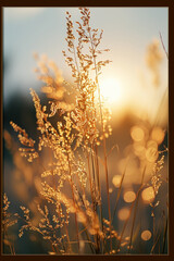 Aufkleber - Minimalist background of a sunlit meadow with tall grass, surrounded by a thin black frame,