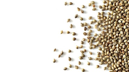 Poster - Hemp seeds arranged on a white background