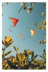 Aufkleber - Minimalist image of colorful kites flying in a clear sky, surrounded by a thin white frame,