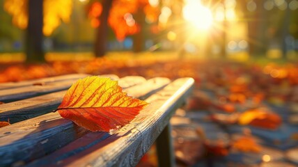 Wall Mural - Close up image of a fallen autumn leaf on a wooden bench with blurred background. Leaves falling in autumn season background.
