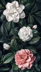 Poster - Gardenia and Camellia Blooms