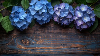 copy space, on the bottom detailed Hydrangeas on Wood Grain background , stock photo