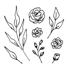 Wall Mural - Simple hand drawn vector illustration with black outline. Set of floral elements. Flowers and buds of roses, peonies, branches with leaves, twigs. Sketch in ink.