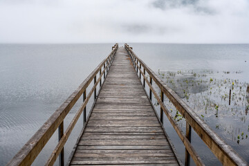 Wall Mural - pier going into the lake in the fog early in the morning on Lake Teletskoye