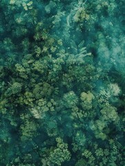 Canvas Print - Lush Green Forest from Above