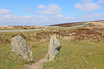 Poster - Hills of Dartmoor in Devon