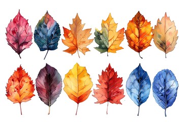 Wall Mural - Watercolor illustration of colorful autumn leaves isolated on white background.