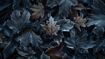 Poster - Frozen and frosted winter leaves with a spotlight on a light brown leaf among the dark ones