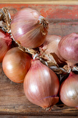 Wall Mural - Bunch of french AOP pink onions from Roscoff village in Brittany, France