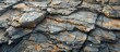 © FryArt - Closeup of layered bedrock outcrop