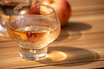 Wall Mural - Brut apple cider from Betuwe, Gelderland, in glass, apple cider production in Netherlands