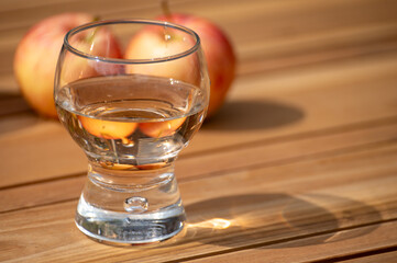 Wall Mural - Brut apple cider from Betuwe, Gelderland, in glass, apple cider production in Netherlands