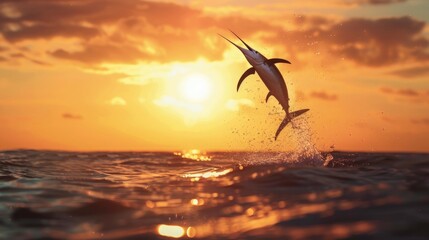 Wall Mural - Close up Black marlin fish jumping to mid air over sea at sunset. AI generated image